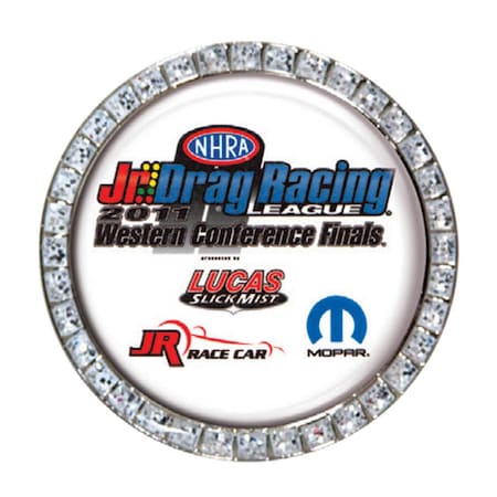 Simba 0.69 in. Gem Vibraprint Lapel Pin EXPRESS-SPG400